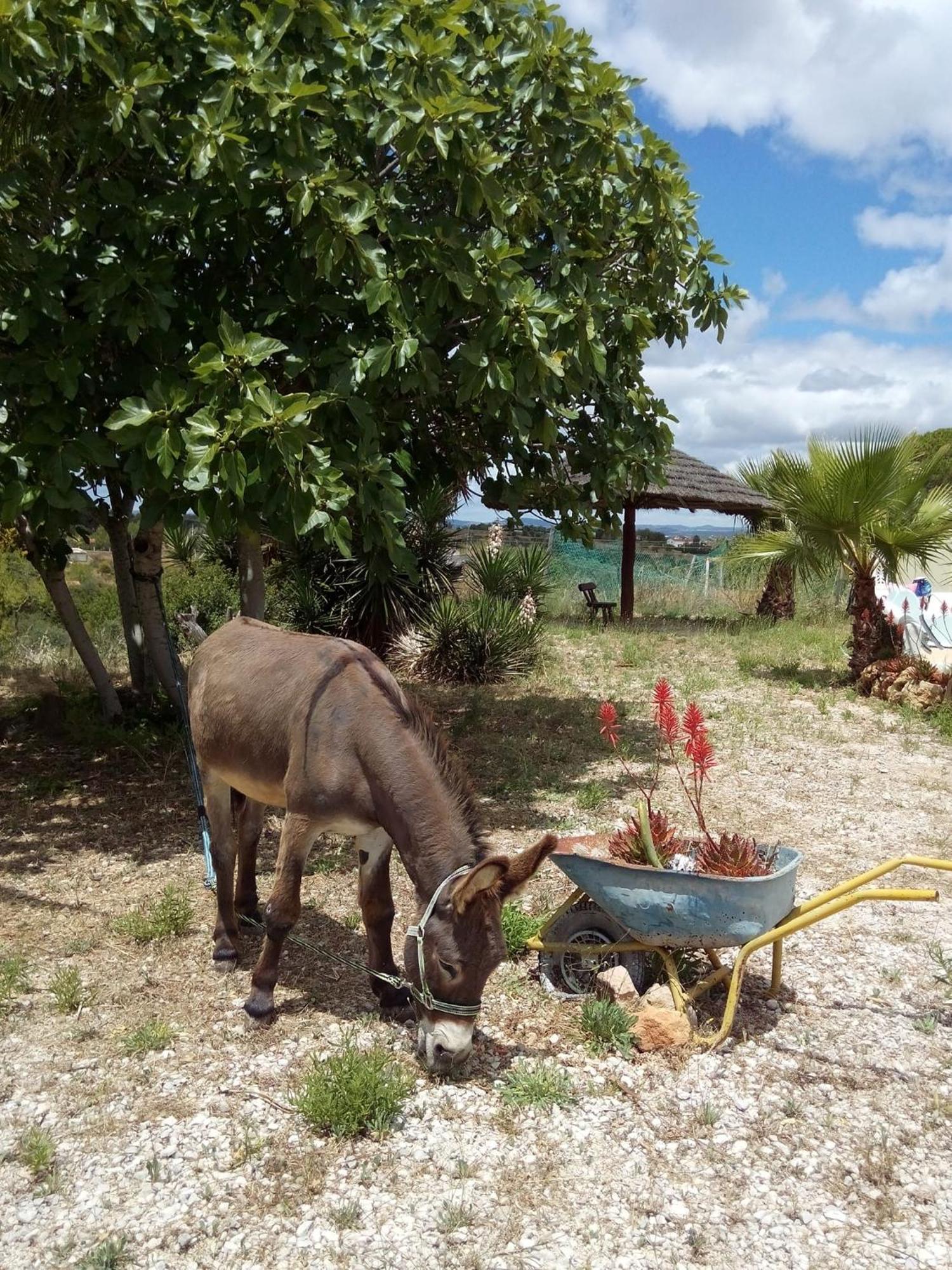 Monte Das Areias Casa De Campo/Passadico/Pateo/Rampa 포르체스 외부 사진